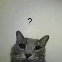 coolyourbeansbro