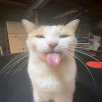 _cherry_121