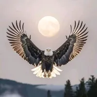 original sound - bbylove254