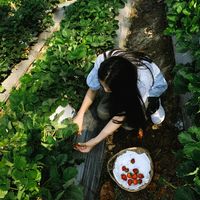 เสียงต้นฉบับ - Kanyawee_นุช🌻🤍