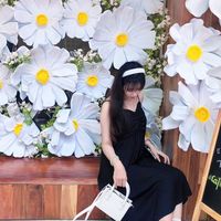 nhạc nền - Dưa hấu không hạt 🍉