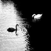 camxz01
