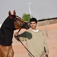 msb_157