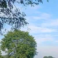 suara asli - trio DAH