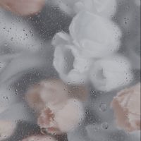 k_.ri_1006