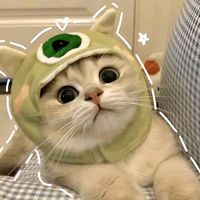 suara asli - divaana_laura