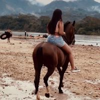 laurasofi660