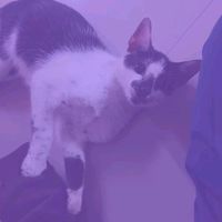 original sound - Yun Yun