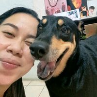 เสียงต้นฉบับ - ɴ ᴀ ɴ ɴ ᴇ ɪ 🐷