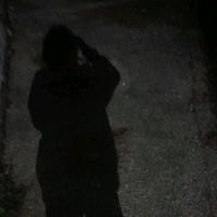 evoletyashira55