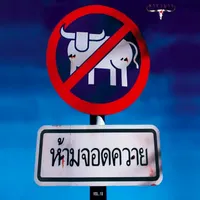 original sound - phatcharasamaikul