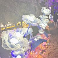 原聲 - 醉愛