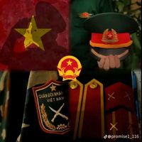 nthanhtruc53
