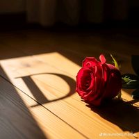 sevgim_2020