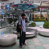 original sound - reynnn41