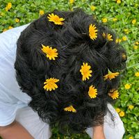 Main Dhoondne Ko Zamaane Mein