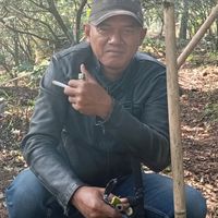 suara asli - iwan