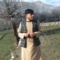 shahwahid1990