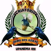 reinodosazulaocriatorio