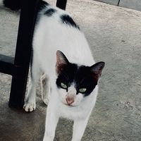 xeann_11