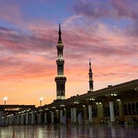 hamad__jadoon