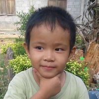 เสียงต้นฉบับ - ยูเหล็กดัด