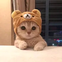 เจอเจ้าสาว