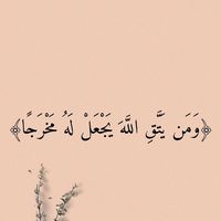 kurde_7788