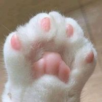 original sound - Lai Lai Naing