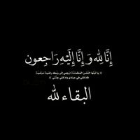 anis_hm25