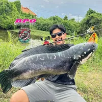 original sound - tofishing