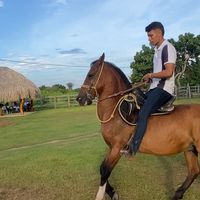 armandodavila100