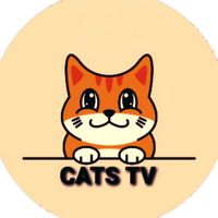 catstv.channel