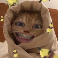 torty_13