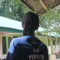 chiyzxxi_
