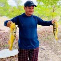 pescadordeorigem4