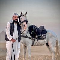 الصوت الأصلي
