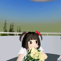 sky_ri12