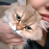 elya.5552