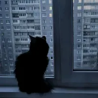 original sound - young_lf