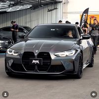piersscarspe