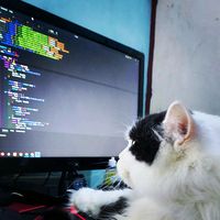 suara asli - Astan