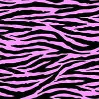 7__7.lllc