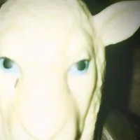 original sound - user051224s