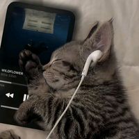 original sound