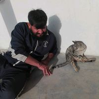sheikh.malang123