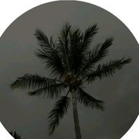 sovegiofficial