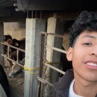 irving_426