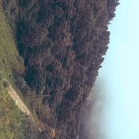 natasha_201429