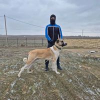 abbaszade__yeraz